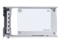 Dell Express Flash - SSD - 1.6 TB - U.2 PCIe 4.0 (NVMe) - för PowerEdge C6420 400-BKFK